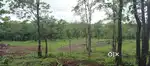 FARMHOUSE PLOTS