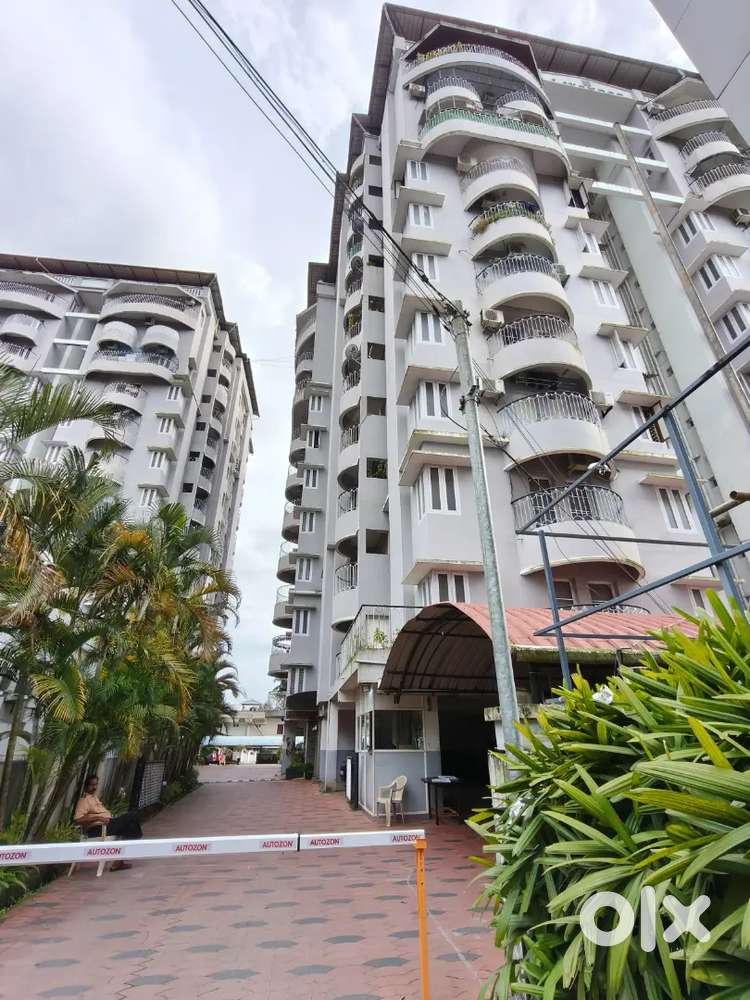 Well main tain 3 Bhk flat for rent tripunithura town family only