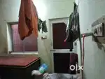 Need a girl room mt