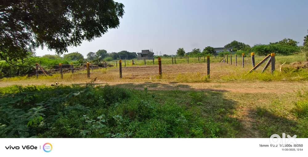 370000 each cent Residential land 533 sq yards at addanki