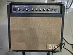 Amplifier with Speaker