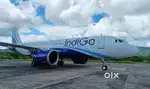 Indigo airlines ground staff vacancies open