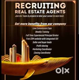 Sales executive in REAL ESTATE
