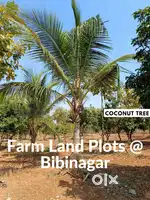 Farm Land Plots in Bibinagar