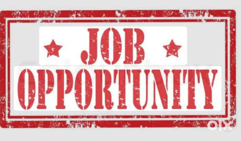 Independent work in office for you