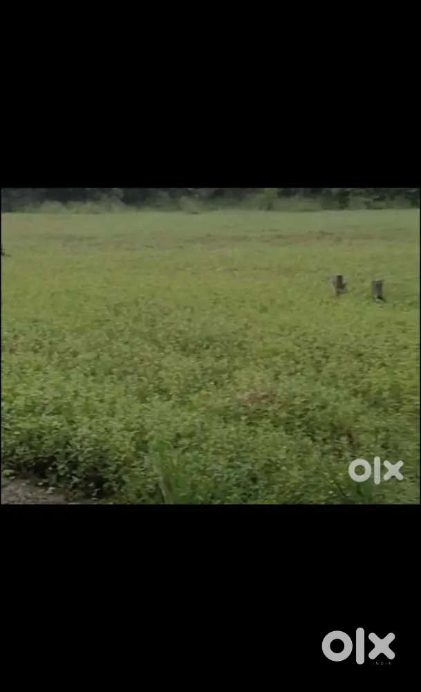 Low price land sale in Kolkata