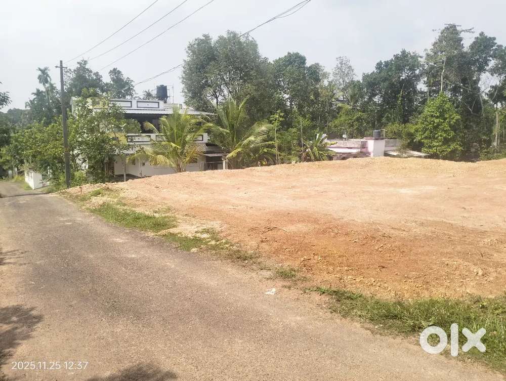 Chottanikkara temple near house plot for sale