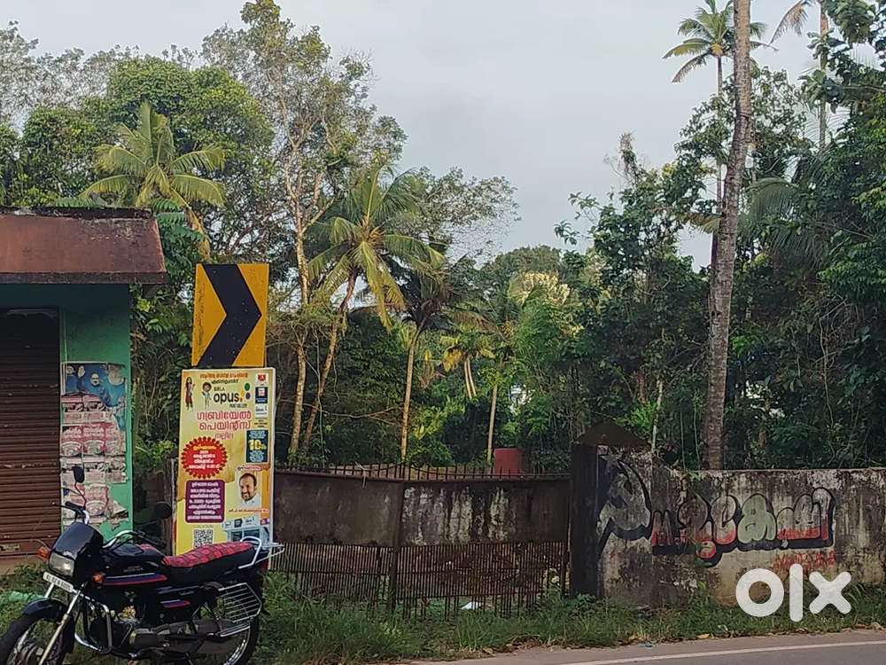 Near to SUPREME DROPS