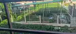 Urgently sell this land