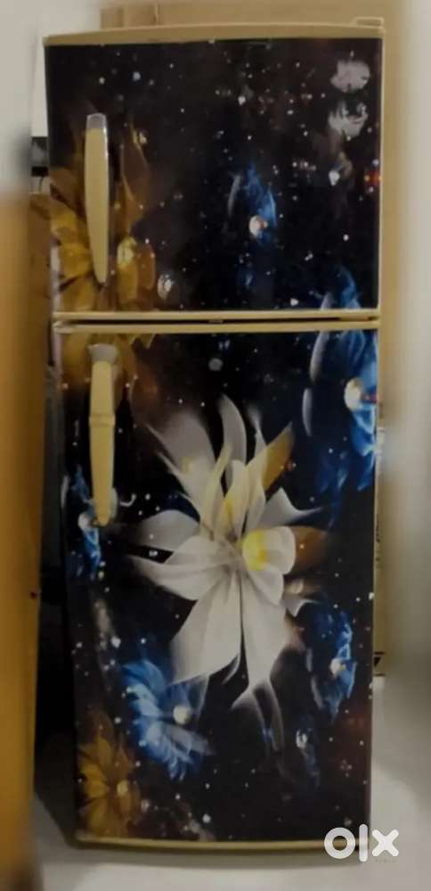 Lg refrigerator