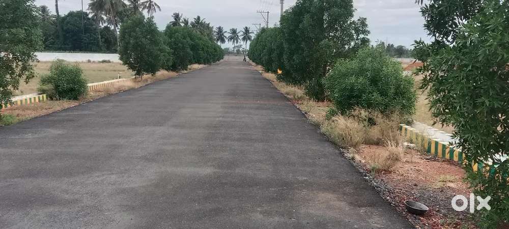 Plot for sale Narayana Reddy peta ready to construct all developments