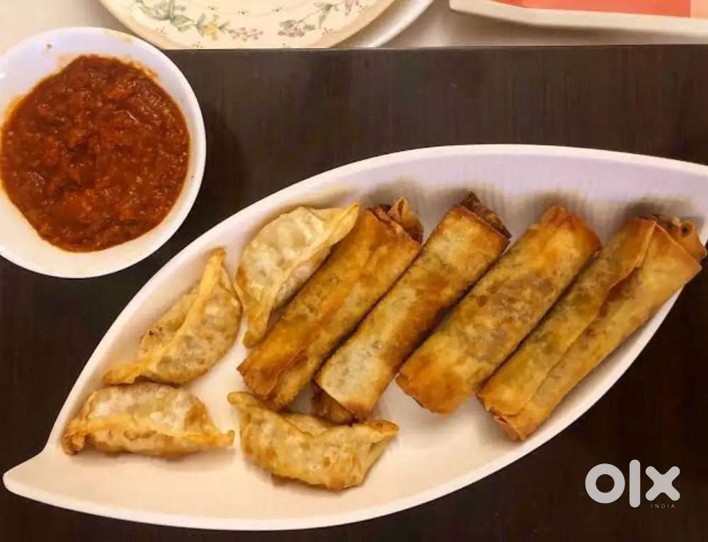 MOMOS AND SPRING ROLL SUPPLY