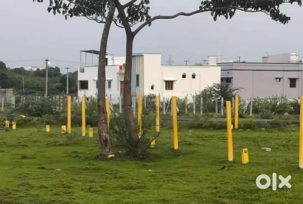 DTCP APPROVED PLOTS