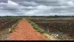 Farm land selling our land in Ranibennur taluk chandapura village