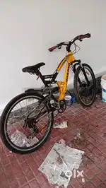 Bicycle gear type