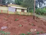 Plot for sale near Pancode library