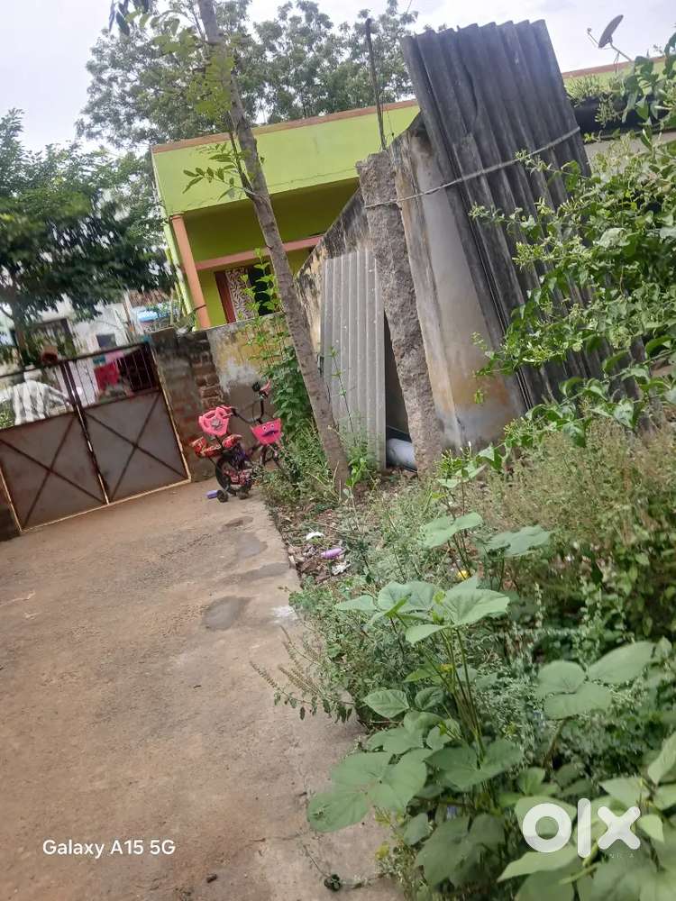 Individual house for rent