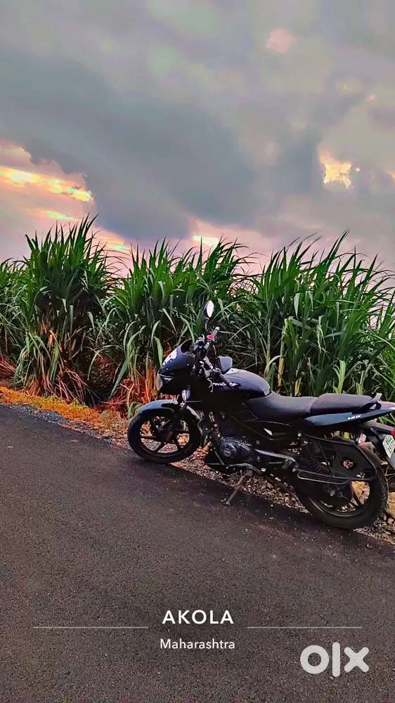 Bajaj pulser 125 disc