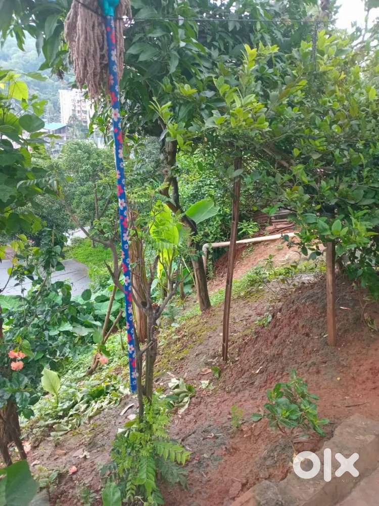 Selling house and land