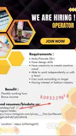 Back office executive
