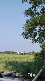 Farm land (Gir)