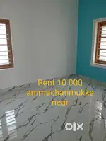 Rent Thattamala ammachanmukke near