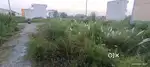 plot sale sale
