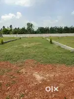 Prime Residential Plots in Gajraula