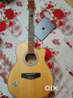 Hertz HZA-4002E Electro-Acoustic Guitar –1 Year Used – Great Condition