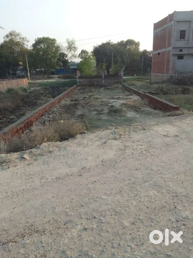 1.5बीसवा जमीन - महराजगंज - Immediate Registry available