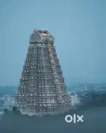 Need Tamil speaking female