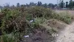 Myadi patta land