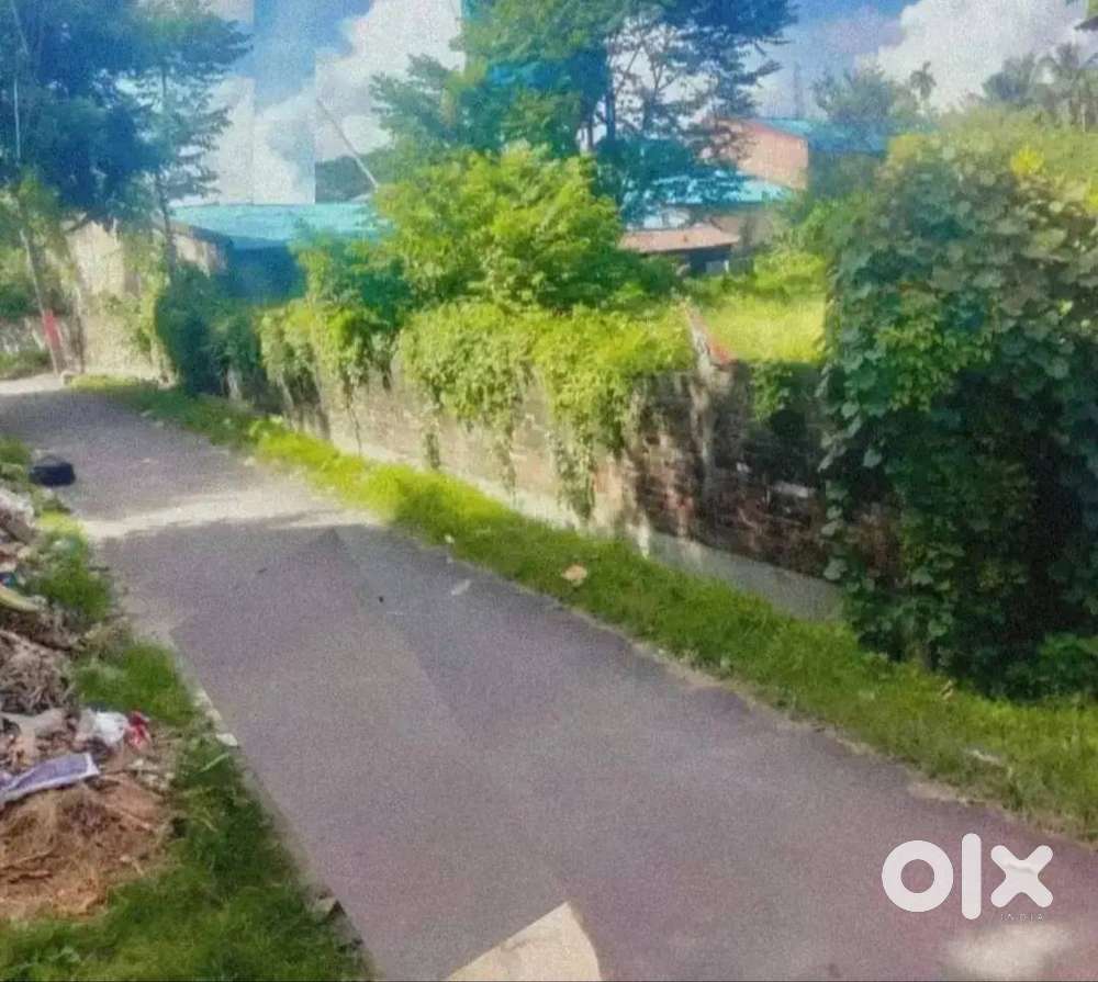 চাকদহ তে জমি কিনতে চাইলে যোগাযোগ করুন