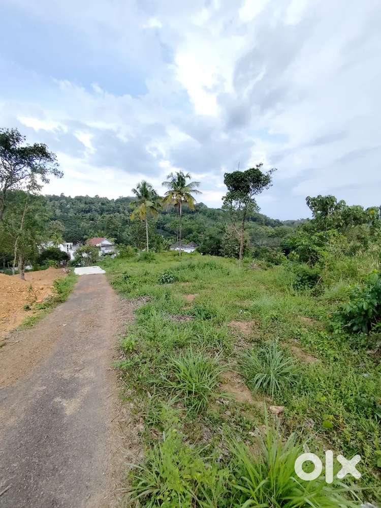 19 Cent For Sale at Puthusserimukku