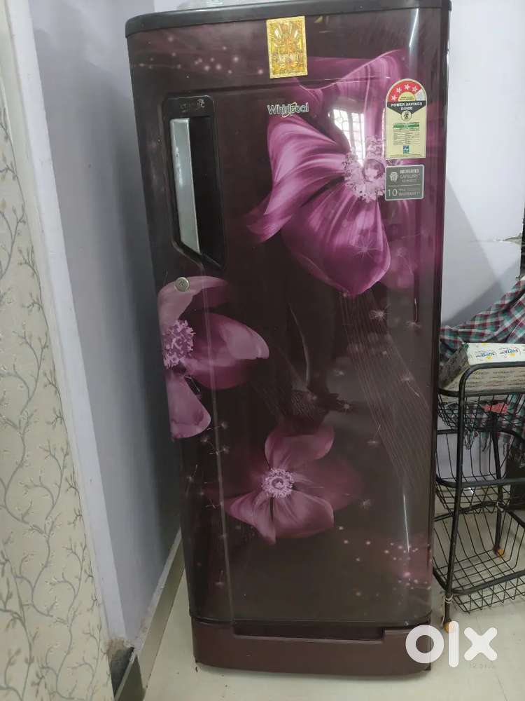 Whirlpool  Fridge