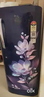 Refrigerator lg