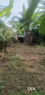 5.1 CENT PLOT FOR SALE IN PANAYIKULAM, ALUVA, KOCHI, ERNAKULAM