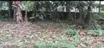 Land for sale in Taliparamb,Kannur