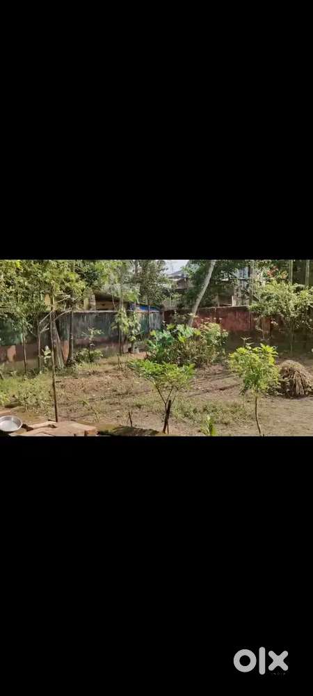 The plot is for sale with 2200 sq feet area and with a 3 bedroom house