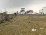 50 cents land for rent