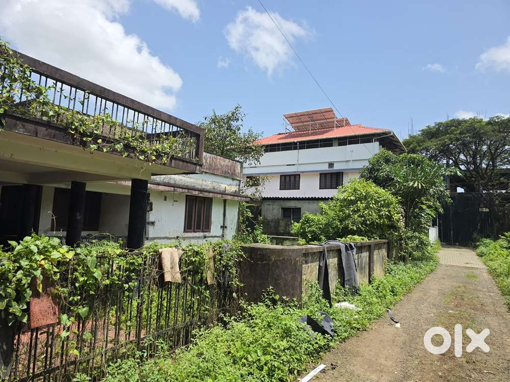 Prime 10 Cent Residential Plot for Sale – ₹15 Lakh/Cent