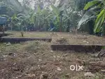 14cent plot sale at kizhakkambalam