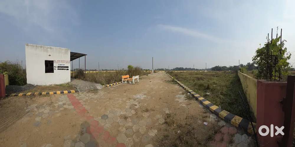 Plot No.12, Siula Mouza , Pipili