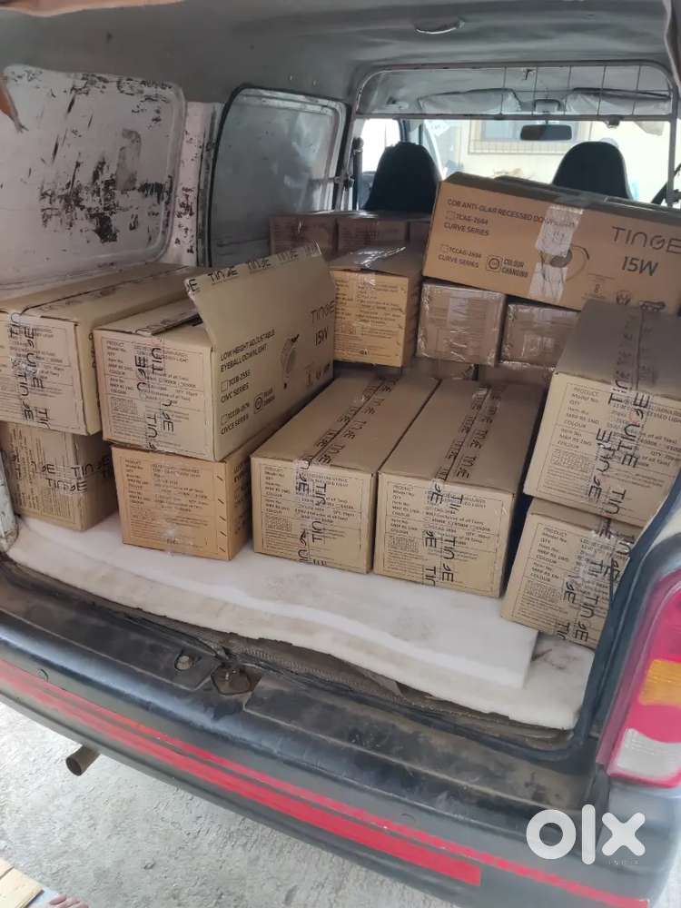 Female Telly Accountant Assistant