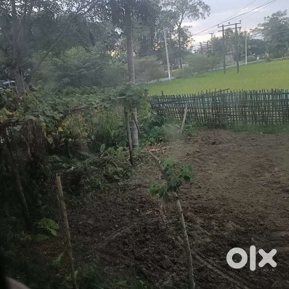 Kalaigaon First Plot