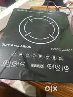 Surya Electric induction