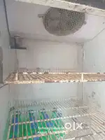 Display fridge