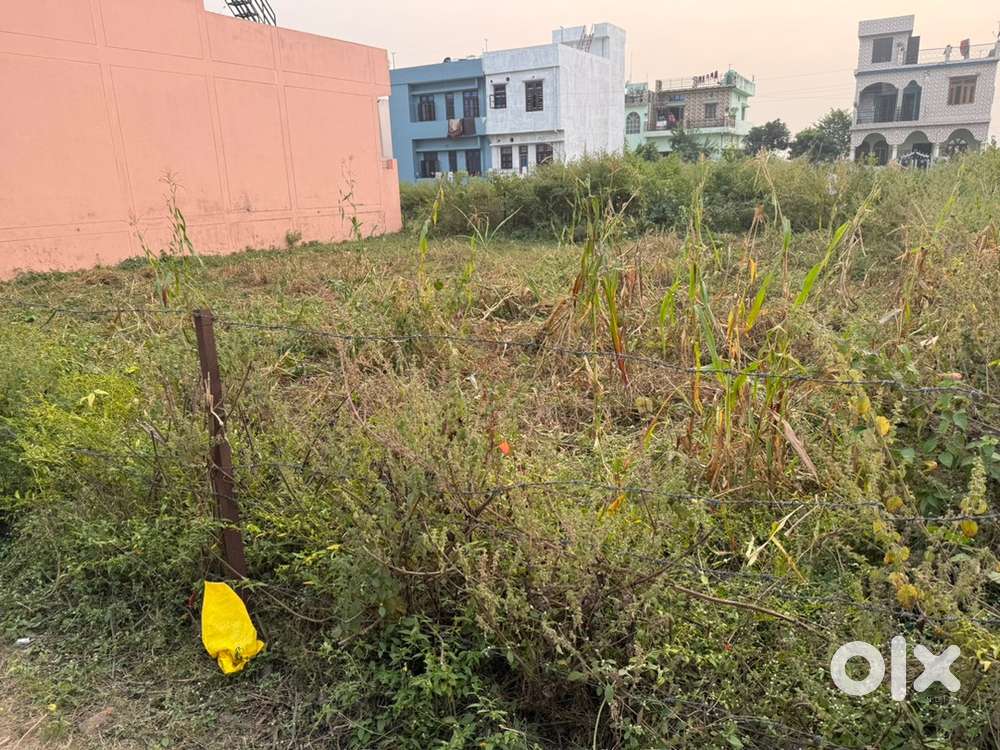 Best plotting with plot number is  mention on registry