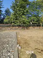 Plot for sale on rajawala road,near ifca university