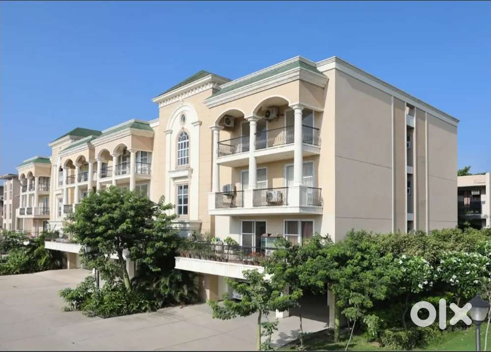 3 Bhk independent floor available semi furnished with beds sofa curtai